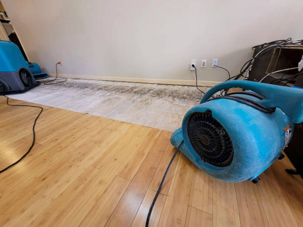 Professional Flood Damage Cleanup technician working in Oologah, OK